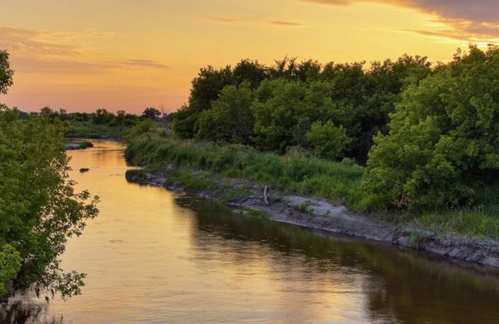 river and trees