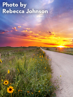 photo of the sun setting over a dirt road