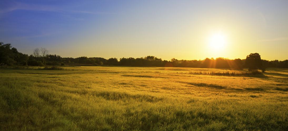 sun rising over fields