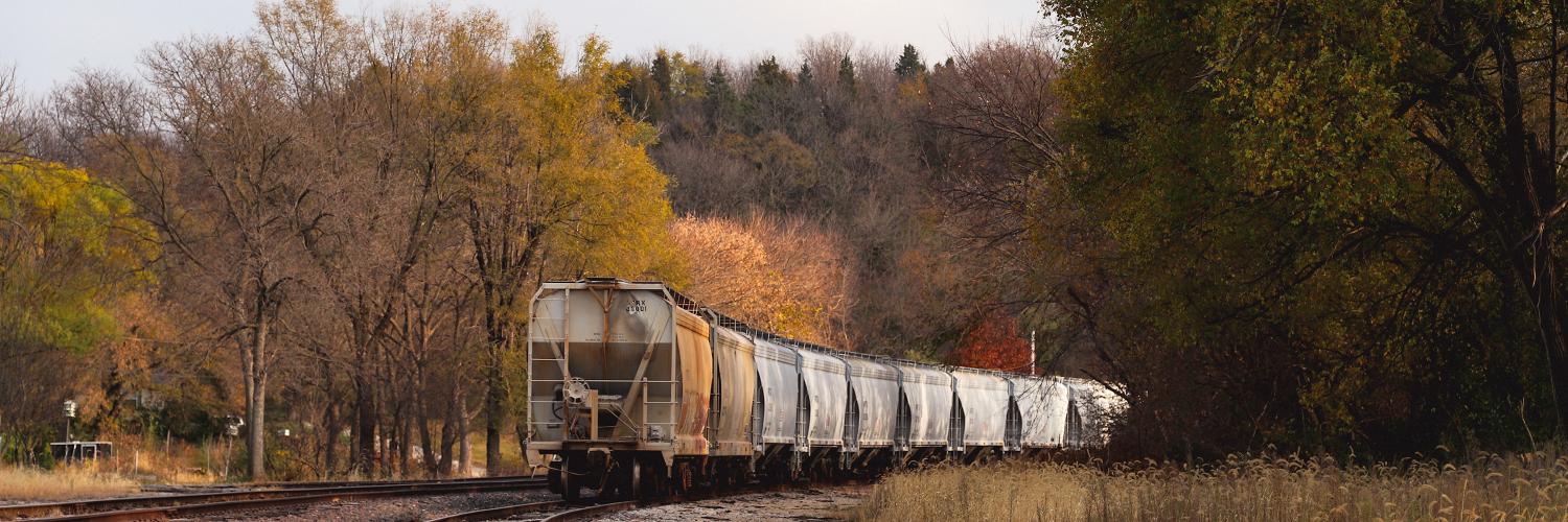 train traveling through fall trees