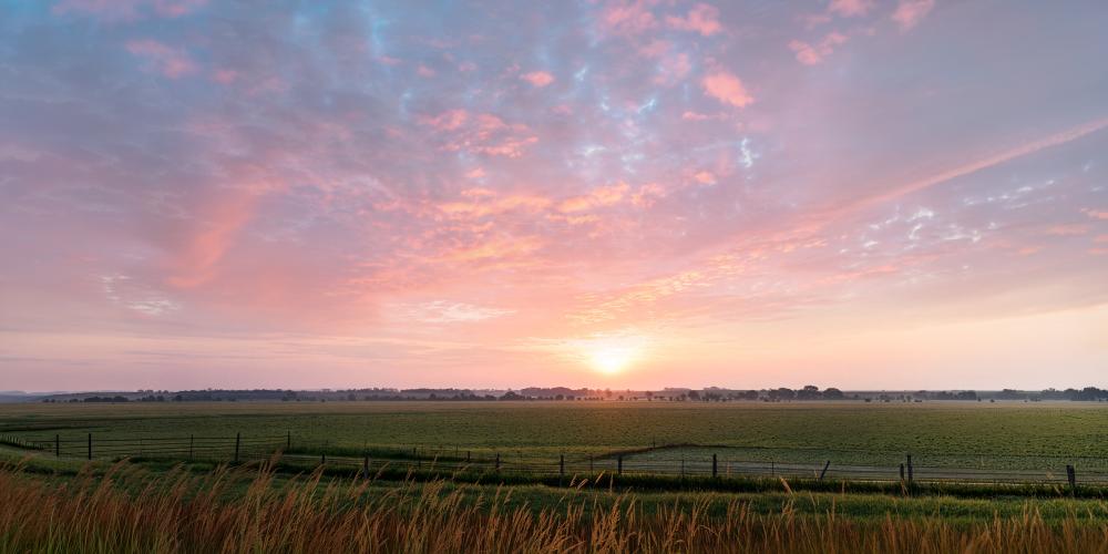 sunrise over a field