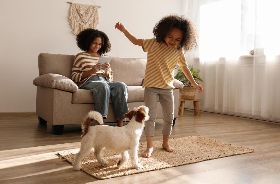 family playing with their dog