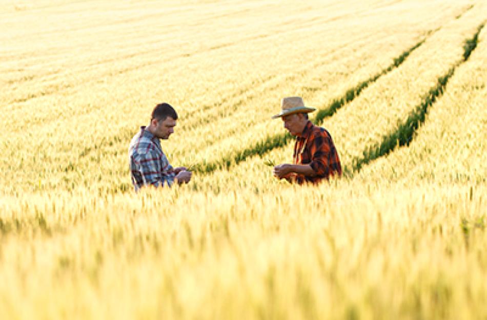 two men in a field